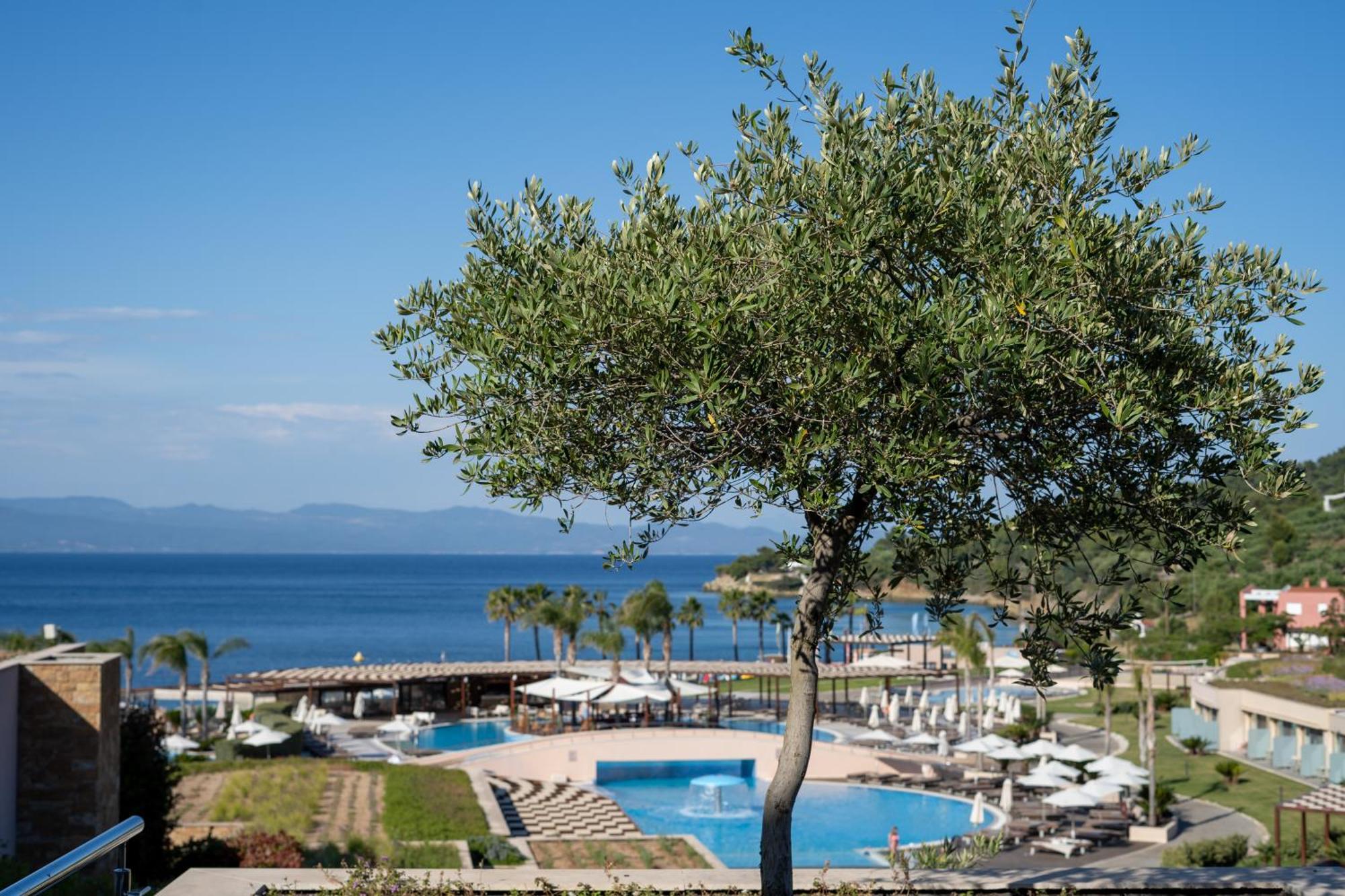 Miraggio Thermal Spa Resort Paliouri Ngoại thất bức ảnh View of the bay of Nikiti
